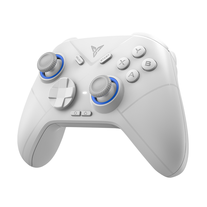 FLYDIGI 飛智 Direwolf 4 冰原狼 4 白色遊戲手把